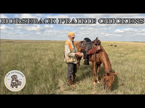 Видео: Луговые цыплята верхом