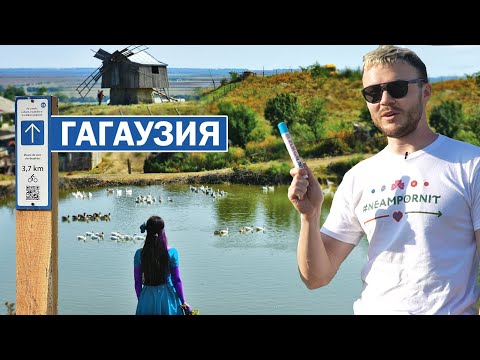 Видео: ГАГАУЗИЯ, юг Молдовы. Конные скачки, вино, болгары, гагаузы и Хедерлез. Туристический маршрут C2