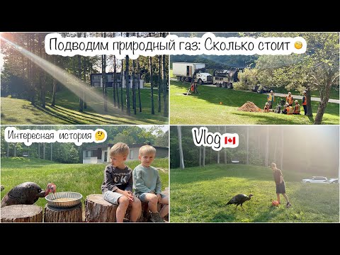Видео: Подключение природного газа: Сколько стоит🤔 Новый питомец🦃🧐Тако на обед🌮 Наши именинники🎂
