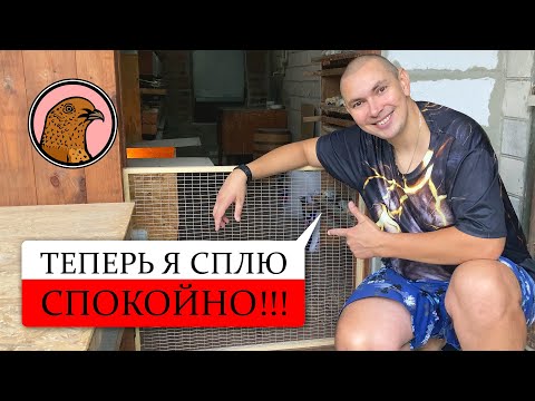 Видео: ЭТО ДОЛЖЕН ИМЕТЬ КАЖДЫЙ ПЕРЕПЕЛОВОД!