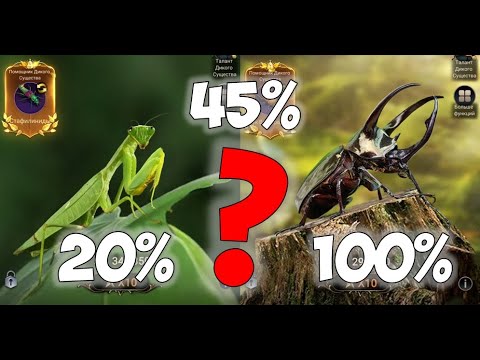 Видео: Улучшение диких существ The Ants