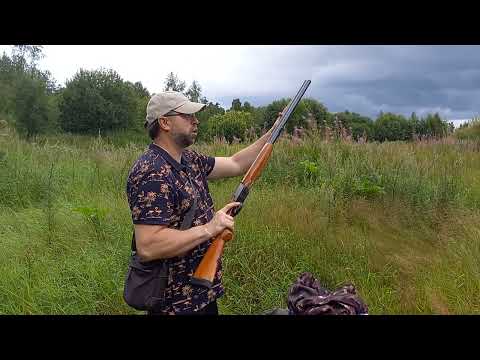 Видео: Пуля АПС Медведь 2 35 г полетный вес и ТОЗ 34.