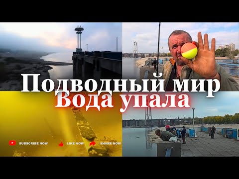 Видео: Кормим рыбу перед зимой. Появилось много  бычка. Причал. 52 день осени 25г.