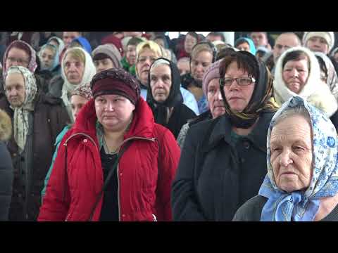 Видео: Фильм, посвящённый Дню посёлка Октябрьский Михайловский район