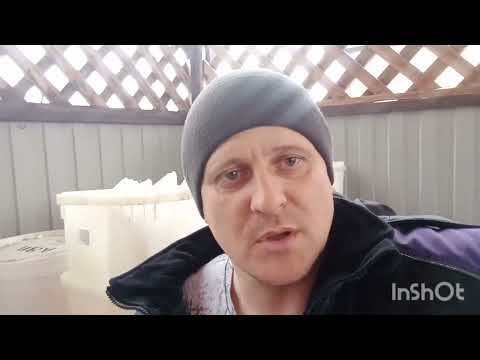 Видео: Цена на оптовый мёд.