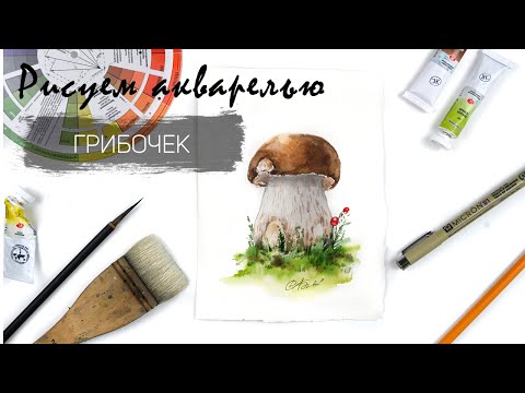 Видео: Рисуем гриб акварелью. Пошаговый урок. Осенние сюжеты акварелью пошагово