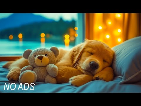Видео: 3 часа успокаивающей музыки для собак 🎶🐾 Снятие тревоги и стресса 💖 Расслабляющие звуки собак