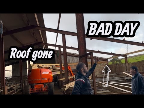 Видео: Что-то нужно менять, Red Rotten #ферма #фермерство #овцы #тепари #коровы #ирландия #ирландцы #Вел...