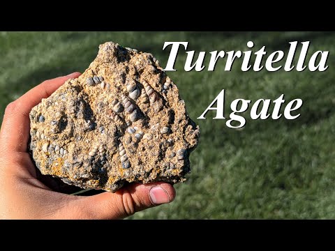 Видео: Мы отправились на место, где раньше добывали агат туррителла! В мой день рождения я охотился за у...