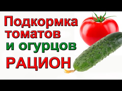 Видео: Чем и когда подкормить томаты и огурцы ПОДРОБНАЯ ИНСТРУКЦИЯ