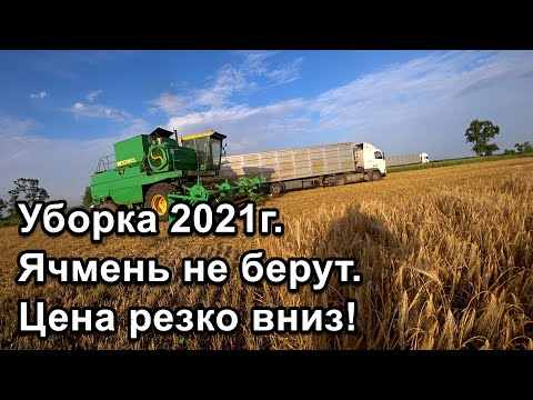 Видео: Уборка 2021г! ДОН-1500Б. Ячмень не хотят брать!