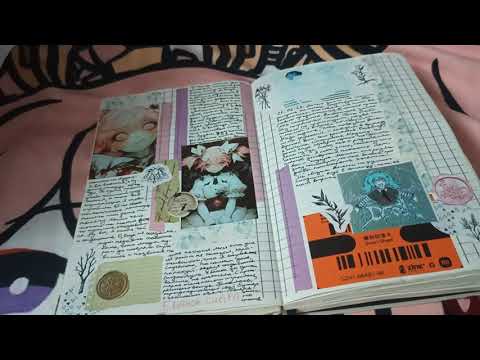 Видео: дневник 16 с комментариями 1/?