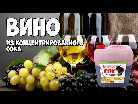 Видео: Вино из концентрированного сока Самогон для новичка