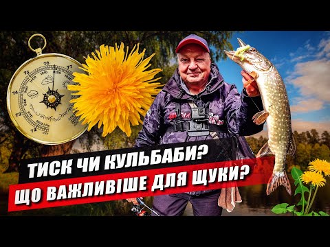 Видео: Як ловити і де шукати щуку весною? Найкращий час для щуки!