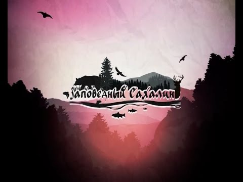 Видео: Заповедный Сахалин. Памятник природы - Тисовый лес.