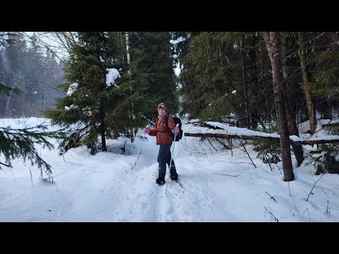 Видео: ПВД Калистово 21.12.24