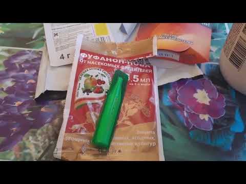 Видео: ПОСЛЕДНИЕ ОСЕННИЕ ХЛОПОТЫ, ОБРЕЗАЕМ И ПОДКАРМЛИВАЕМ