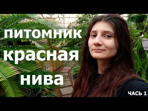 Видео: Прогулка по питомнику Красная Нива Часть 1