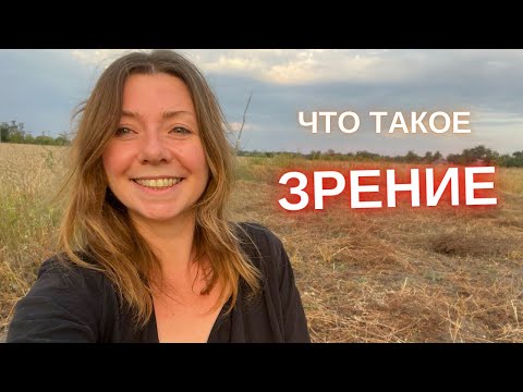 Видео: Что такое Зрение?