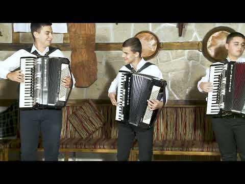 Видео: Akordeonen orkestar - Pazardzhishko horo | Акордеонен оркестър - Пазарджишко хоро