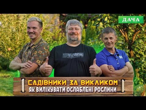 Видео: Яблуня, виноград, калина. Чим підживлювати ослаблені рослини