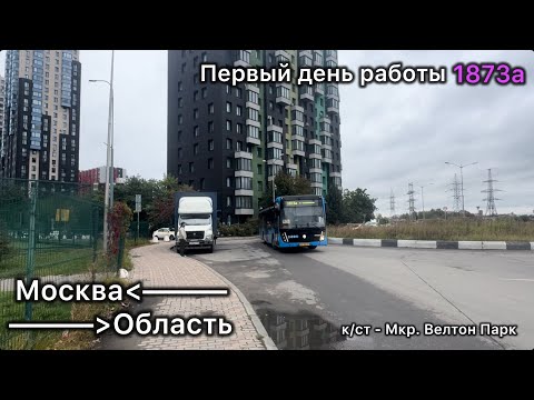 Видео: Первый день работы автобусов МГТ Москва-Область! Маршрут 1873а до Велтон Парка!