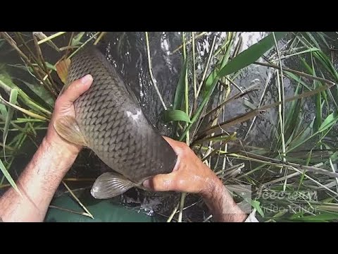 Видео: ПОПЛАВОК РУЛИТ!!!