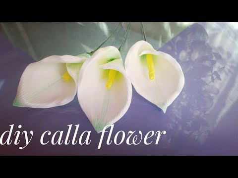 Видео: Цветок КАЛЛА из изолона для осеннего букета, DIY