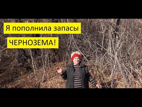 Видео: Чудо - земля для огорода лежит у нас под ногами!