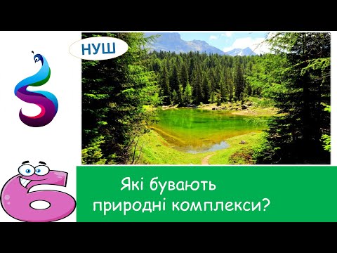 Видео: Які бувають природні комплекси?