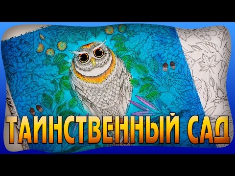 Видео: ТАИНСТВЕННЫЙ САД РАСКРАСКА АНТИСТРЕСС | СОВА | ДЖОАННА БЭСФОРД | YulyaBullet