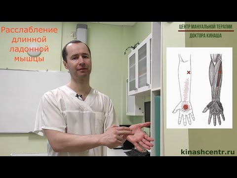 Видео: Расслабление длинной ладонной мышцы. Контрактура Дюпюитрена