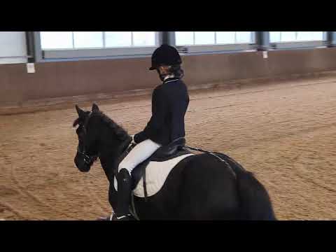 Видео: Даша и Наоми, выездные старты КУБОК НИЖЕГОРОДСКОЙ ОБЛАСТИ, проезд схемы ППДБ 65.321% первое место.