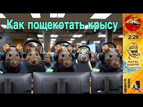Видео: Телефонное мошенничество. Автор Андрей Моряк