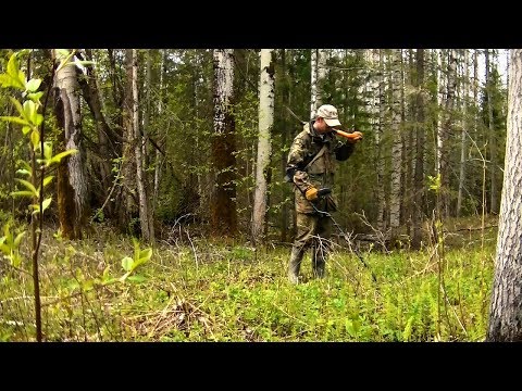 Видео: Нашёл советскую поселуху десятилетку #171