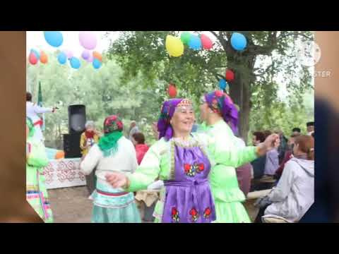 Видео: 7 ноября 2025 г.