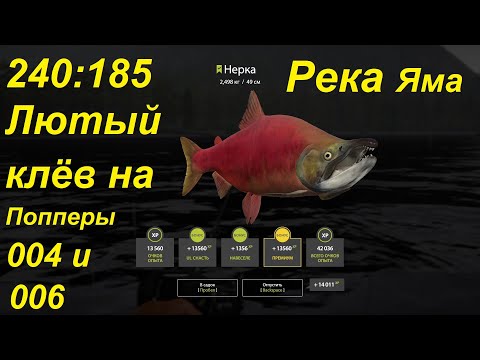 Видео: Нерка и Хариус на реке Яма. Точка 240 185. Русская рыбалка 4.