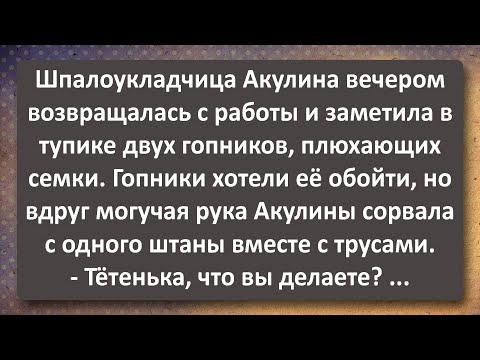 Видео: Шпалоукладчица Акулина 42 года и Два Гопника! Сборник Самых Свежих Анекдотов!