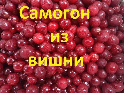 Видео: самогон из вишни