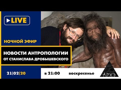 Видео: Ночной АРХЭфир "Новости антропологии от Станислава Дробышевского"