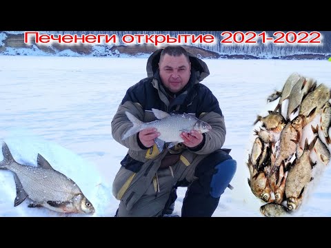 Видео: ПЕЧЕНЕЖСКОЕ ВОДОХРАНИЛИЩЕ, КОСТА БРАВО НАСОСНАЯ,КАК ЛОВЛЮ  ЛЕЩА, ЭТИ РЫБКИ ПРОСТО ДОСТАЛИ,2021  2022