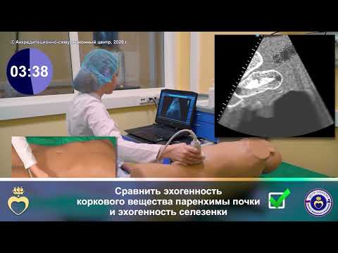 Видео: УЗИ левой почки