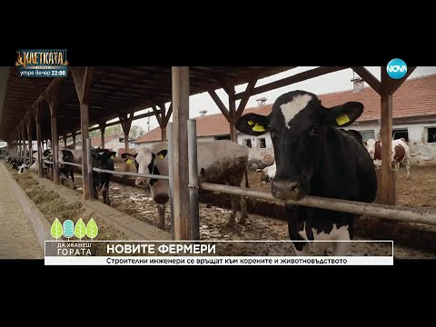 Видео: Да хванеш гората (16.11.2025)