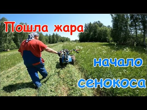 Видео: Начинается сенокос. Роторная косилка Заря,мотоблок Нева МБ-2.