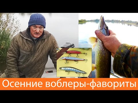 Видео: Твичинг на Березине. Осенние воблеры-фавориты 2021.
