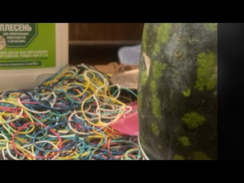 Видео: Арбууууз гоооооо