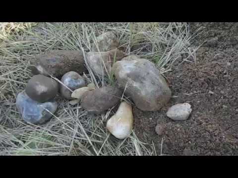 Видео: колодец с бешенным притоком больше 15 кубов в час