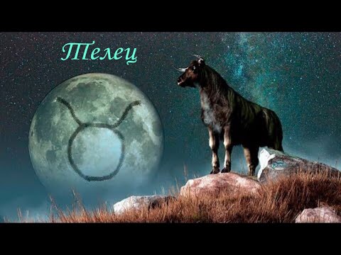 Видео: Телец