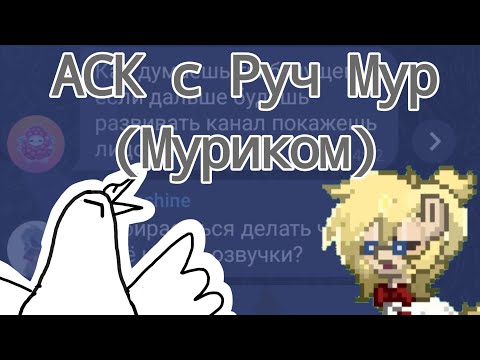 Видео: Аск с Муриком (часть 1) / Руч Мур