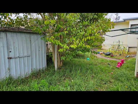 Видео: Это САДОВОДСТВО или АРХЕОЛОГИЧЕСКИЕ РАСКОПКИ! Продолжается невероятно приятная уборка.